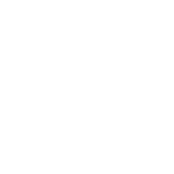 INTERNATIONAL COMPANY FORMATION